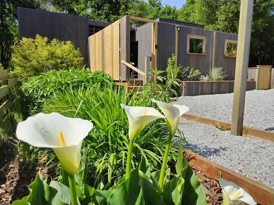 Lodge Cosy - Sauna & Jacuzzi. Saint-Coulitz 펜션